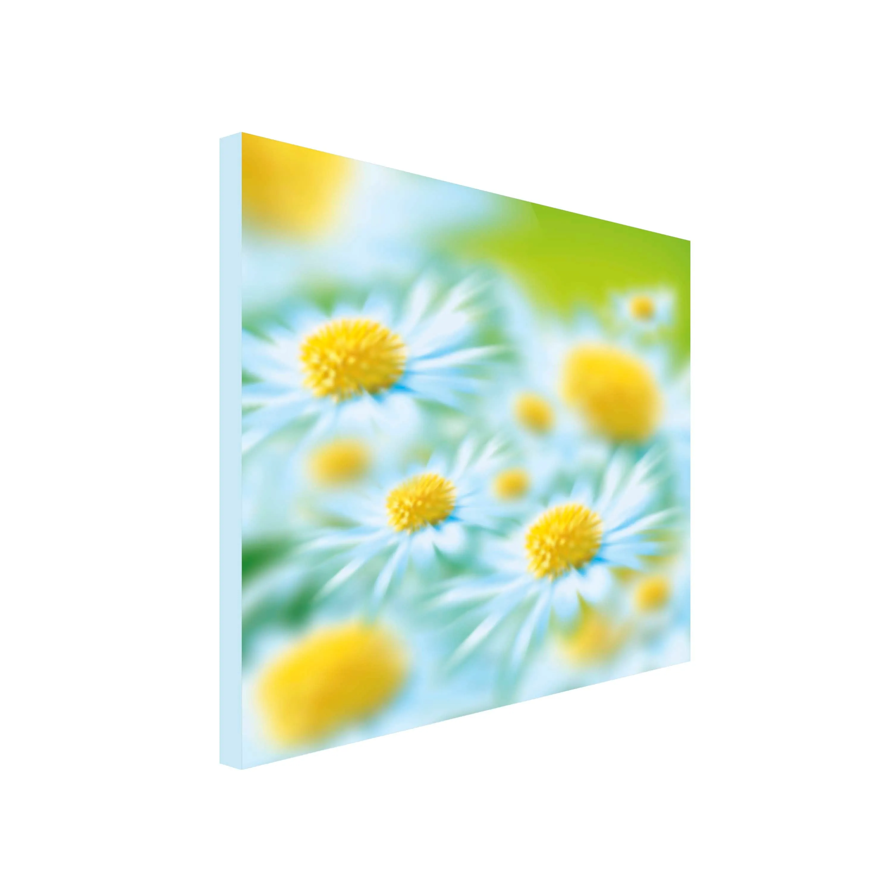 Daisy Art Canvas