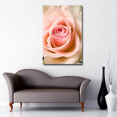 Peach Rose in Bloom Art Canvas