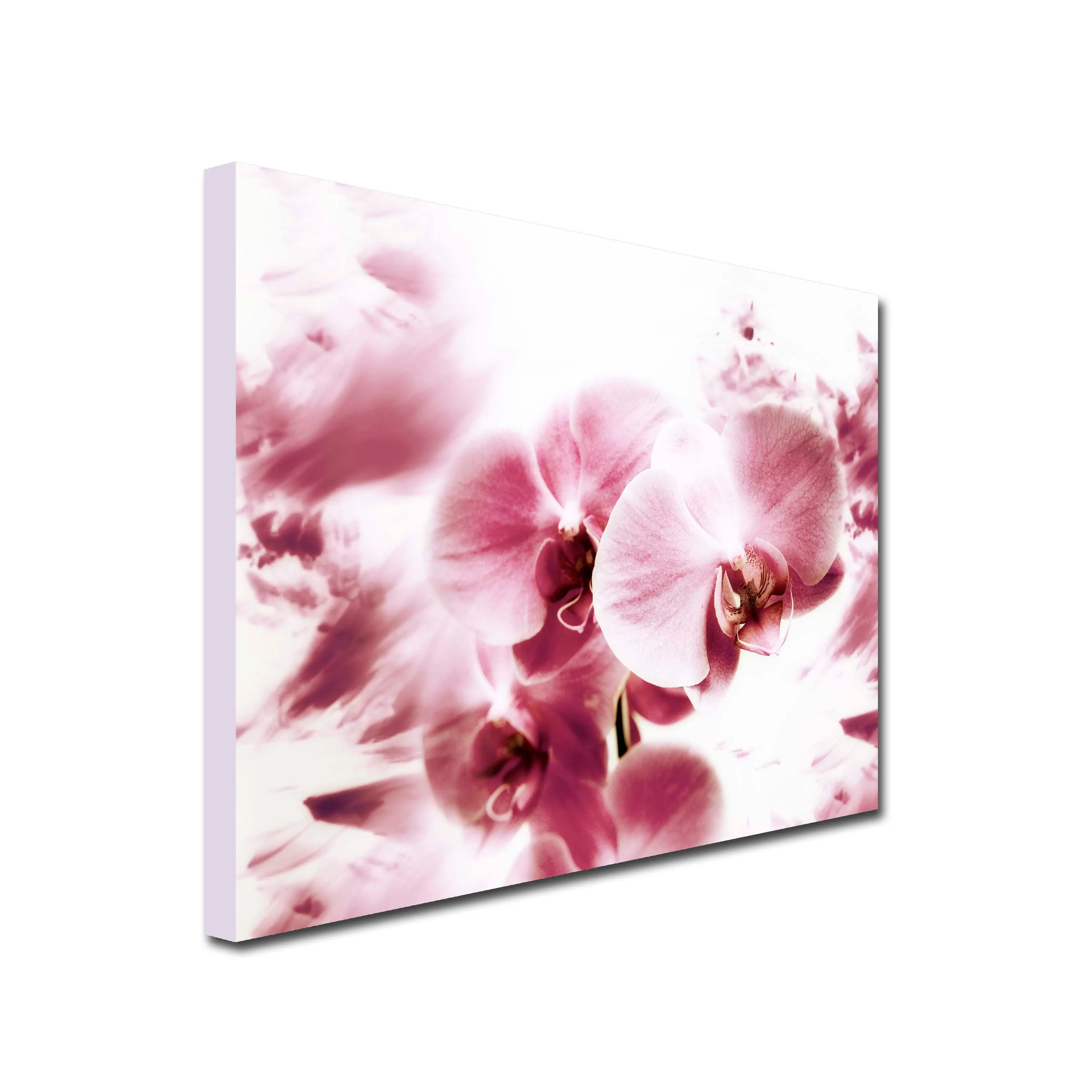 Pink Orchid Art Canvas