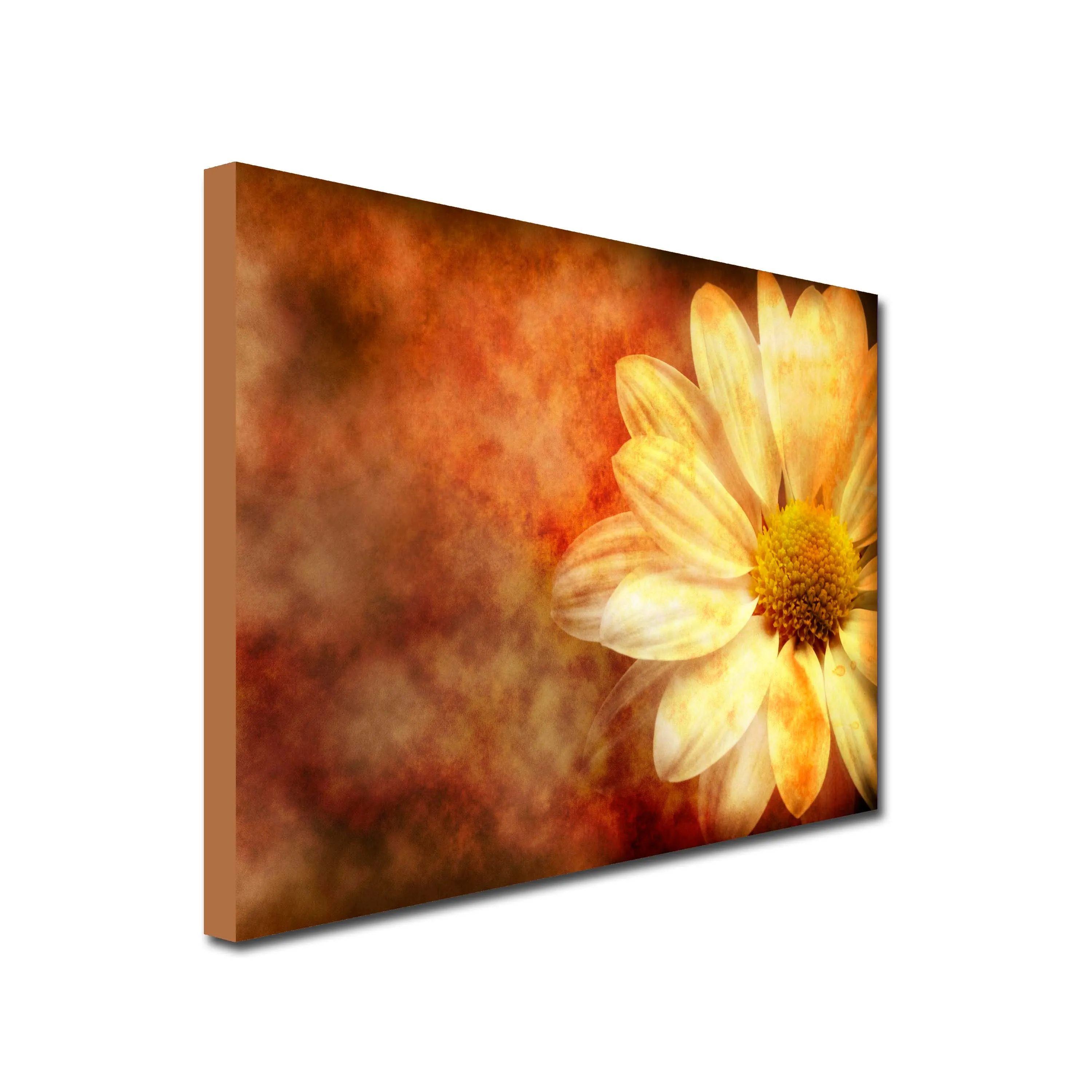 Vintage Daisy Art Canvas